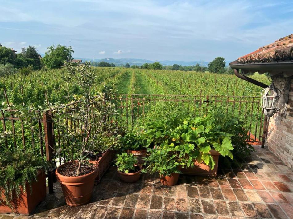 Casale Hortensia Реджонель-Эмилия Экстерьер фото